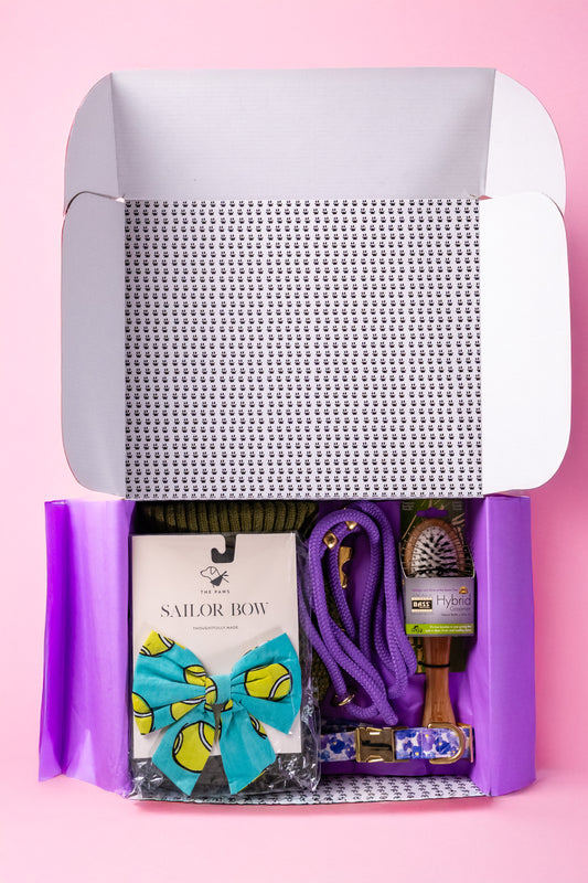 Bark & Style Signature Seasonal Box - Quarterly Subscription Trial Box