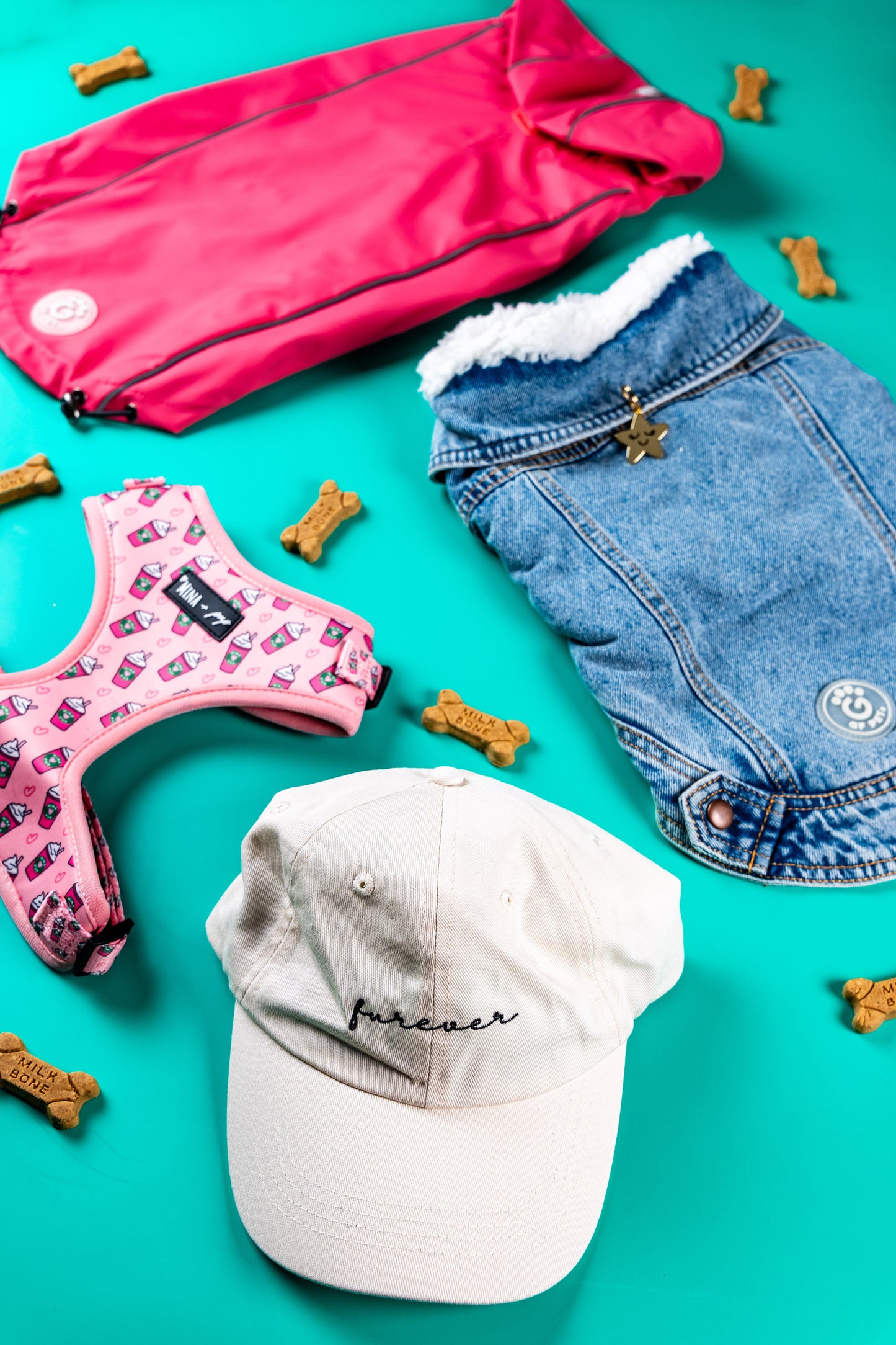 Bark & Style Signature Seasonal Box - Quarterly Subscription Box